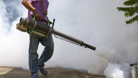 Fumigation Services